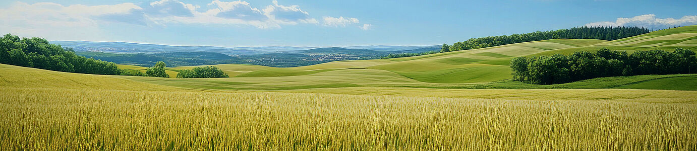 [Translate to English:] 