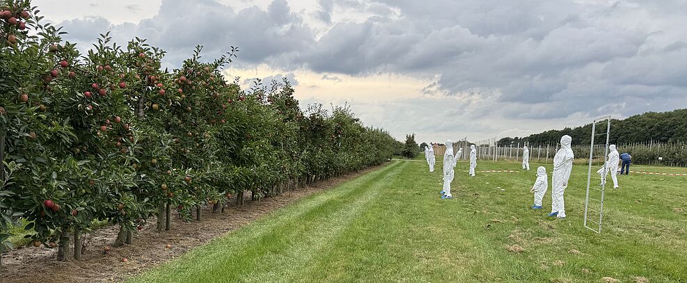 
	Puppen stehen stellvertretend für unbeteiligte Bystander, Personen, die sich zufällig in der Nähe von Spritzmaßnahmen aufhalten. © Katrin Ahrens/JKI
