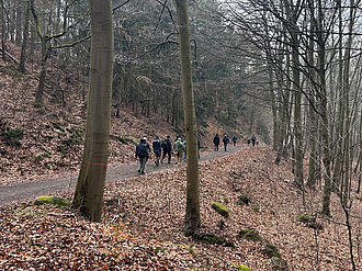 Bei etwas ungemütlichem Frühlingswetter führt der Julius-Kühn-Weg durch das Wurmbachtal über die Winterklippen bis zur Lauenburg. © Cynthia Albracht/JKI