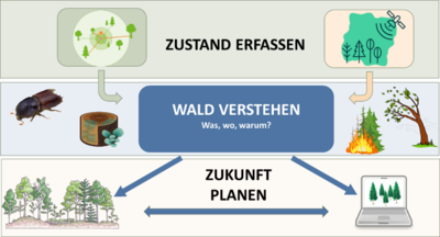 Strategy Graph of the JKI Institute for Forest Protection.