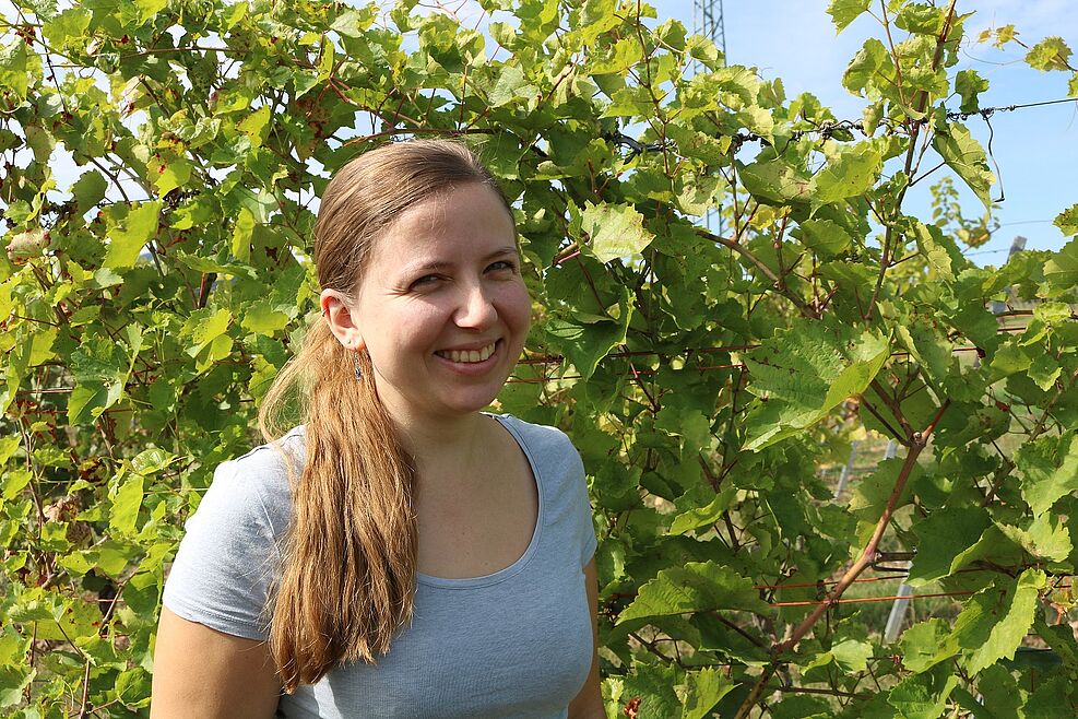 
	Dr. Sophia Müllner promovierte am JKI-Fachinstitut für Rebenzüchtung in Siebeldingen. Während Ihrer molekularbiologischen Forschungsarbeit gewann sie Einblick in die Züchtung pilzwiderstandsfähiger Rebsorten. ©Müllner/JKI
