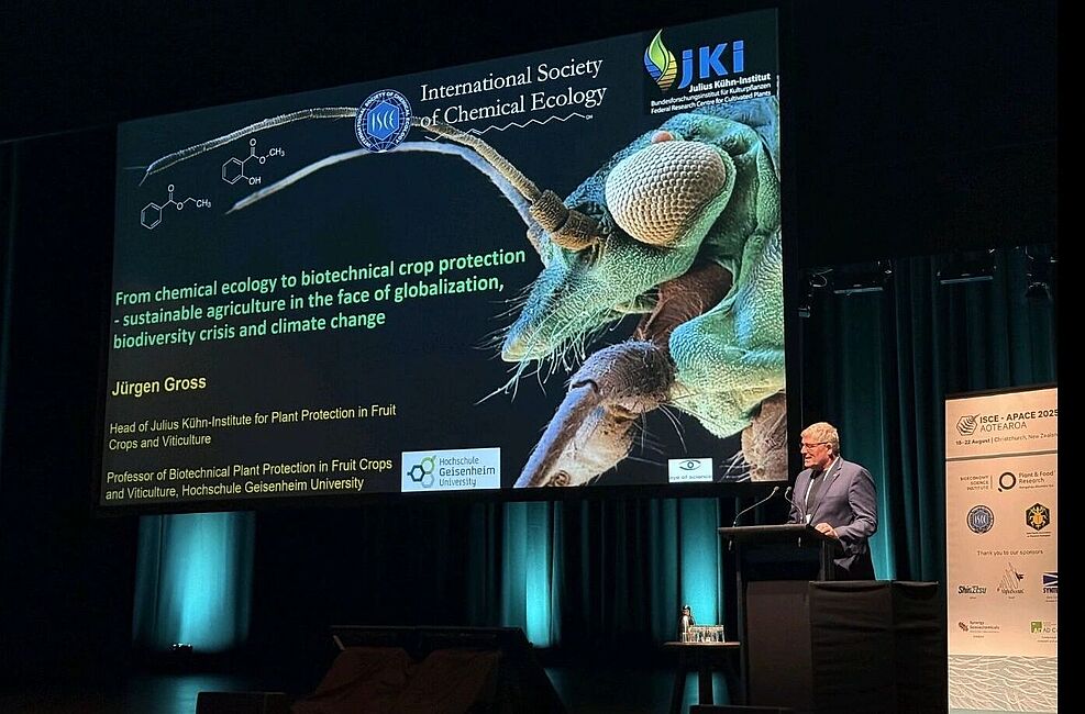 
	Prof. Dr. Jürgen Gross hält seine Plenary Lecture bei der ISCE-Tagung in Christchurch. © J. Gross/JKI
