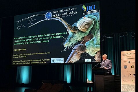 Prof. Dr. Jürgen Gross hält seine Plenary Lecture bei der ISCE-Tagung in Christchurch. © J. Gross/JKI