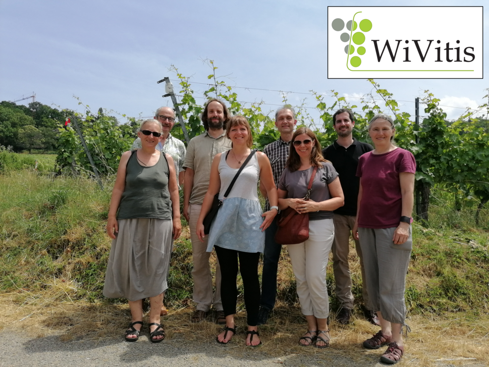 
	Group of 8 standing in front of row of vines. Photo taken in summer and supplemented with project logo in the right corner.
