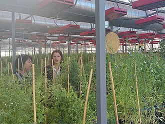 Organisiert durch Dr. Anna Backhaus hatten die Besucher die Möglichkeit das Qualitätslabor, das Entomologie Labor, die Genbank sowie die Speed Breeding Facility der ICARDA am Standort Rabat zu besichtigen.