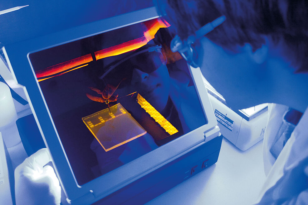 
	Ausbildung am Julius Kühn-Institut
