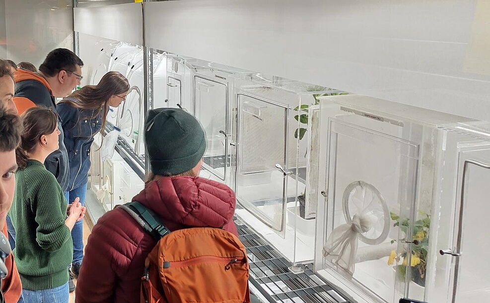 
	Verschiedene Insektenzuchten in speziellen Klimakammern. Foto: UGOE
