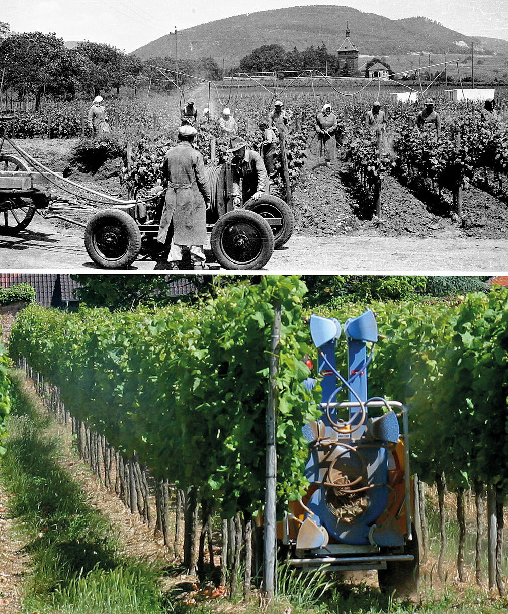 Einst brauchte es eine ganze Spritzkolonne mit zentraler Pumpe, um Pflanzenschutzmittel im Weinberg auszubringen. Heute, das Bild stammt von 2004, ist die Handarbeit mit vielen Personen und ohne Schutzausrüstung dem Schlepper mit Sprühaufsatz gewichen. Fotos: © JKI-Archiv