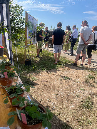Vortrag über die Diagnostik von Viruserkrankungen, z.B. an Erdbeeren. © Sarah Barnert/JKI