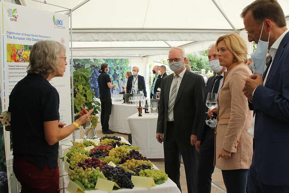 
	JKI expert for the German Vine Genebank  Dr. Erika Maul (l.) introduces Federal Minister Julia Klöckner to the collection and conservation of genetic resources for breeding | (c) Kicherer/JKI
