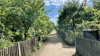 Kleingartensiedlungen tragen mit ihrer vielfältigen Befpflanzung zur Artenvielfalt im urbanen Raum bei. © I. Staude/Uni Leipzig