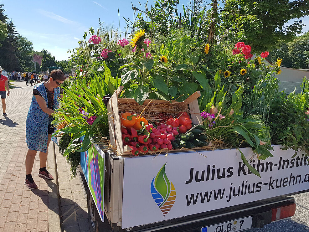 
	Die Pritsche des JKI beim Festumzug war reich geschmückt mit Kulturpflanzen. Sachsen-Anhalt-Tag 2019 © Kaufmann/JKI
