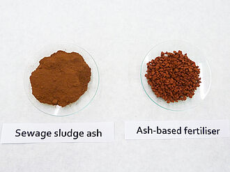 Im Bild zu sehen: Zwei Glaschalen mit bräunlichen Pulver. Das linke Pulvver ist feiner und heller als das rechte, krümelige.