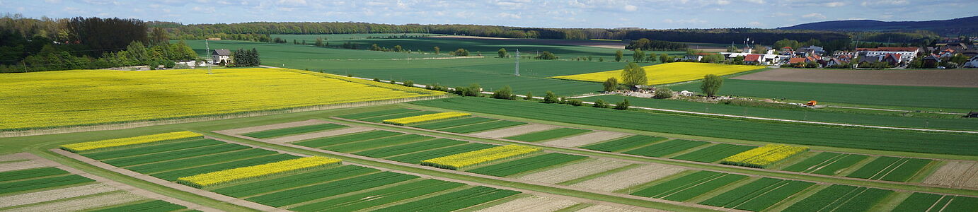 [Translate to Englisch:] Eine Landschaft mit kleinen gelben (Raps) und grunen (junges getreide) streifenförmigen Parzelle nebeneinander. Vereinzelte Gebäude und Horizont sind im Hintergrund zu sehen.n