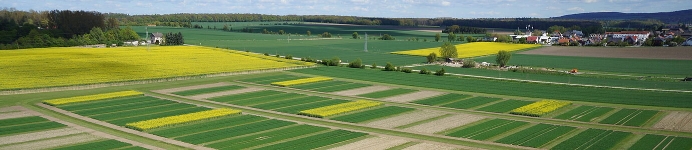 Eine Landschaft mit kleinen gelben (Raps) und grunen (junges getreide) streifenförmigen Parzelle nebeneinander. Vereinzelte Gebäude und Horizont sind im Hintergrund zu sehen.n