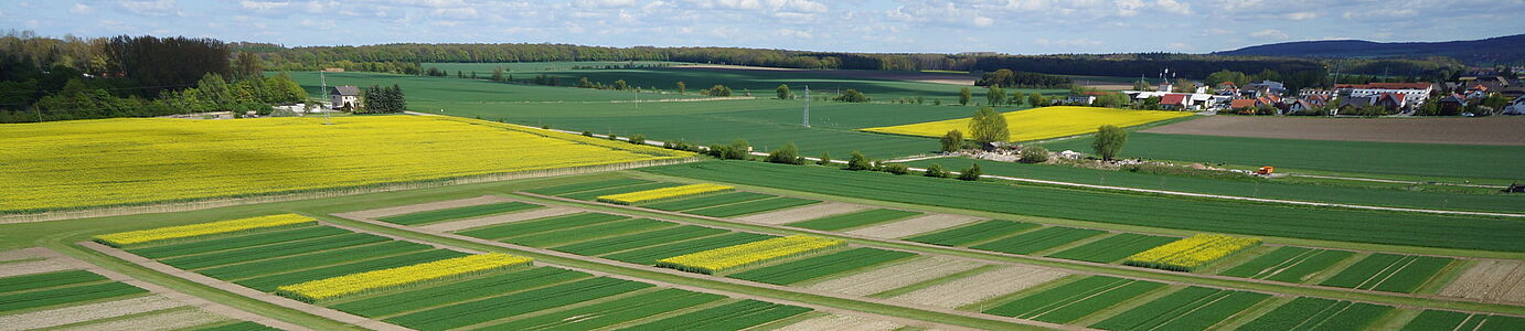 [Translate to Englisch:] Eine Landschaft mit kleinen gelben (Raps) und grunen (junges getreide) streifenförmigen Parzelle nebeneinander. Vereinzelte Gebäude und Horizont sind im Hintergrund zu sehen.n