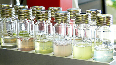 Analyse von Inhaltsstoffen. (© Gruenwald)