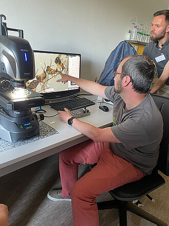 Der Schwerpunkt des Teilprojekts liegt auf Trauermücken und deren Interaktionen mit Substratausgangsstoffen, insbesondere dem Wahlverhalten, der Ernährungsweise und dem Überleben.