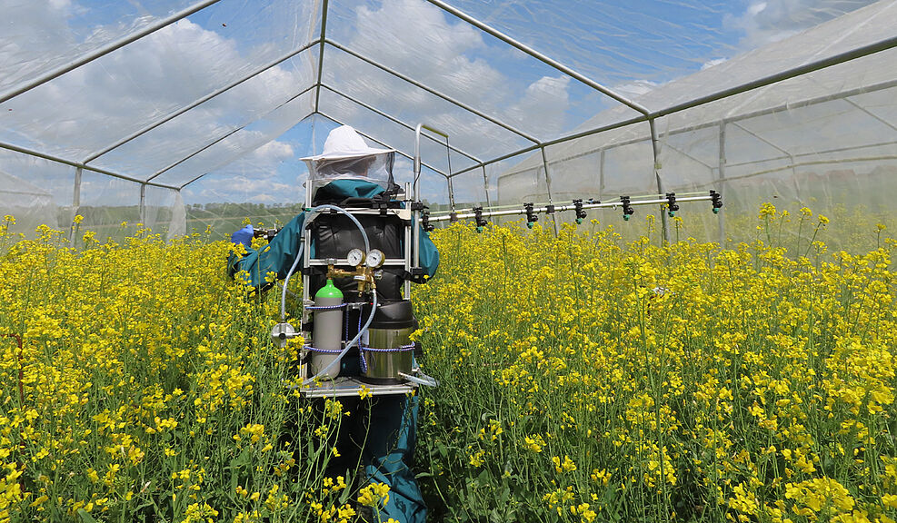 
	Applikation im Halbfreiland (1913)
