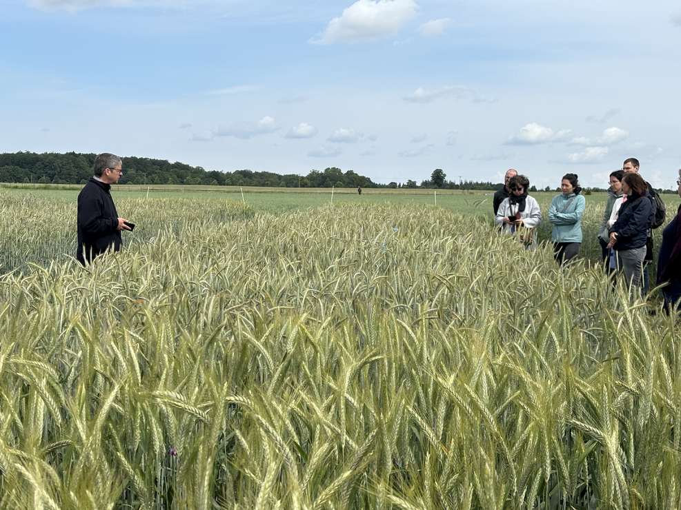 
	Dr. Bernd Hackauf nahm die Teilnehmenden der Agrarforschungstour mit ins Roggenfeld.
