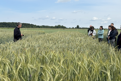 Dr. Bernd Hackauf nahm die Teilnehmenden der Agrarforschungstour mit ins Roggenfeld.