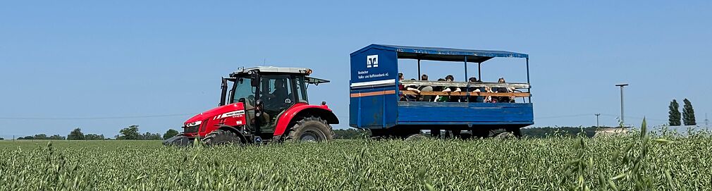 Immer zur vollen Stunde ging es für die Gäste mit dem Hänger hinaus auf die Versuchsfeldflächen des JKI und die Forschenden erläuterten das Ziel der Pre-Breeding-Feldversuche. © F. Haase/JKI