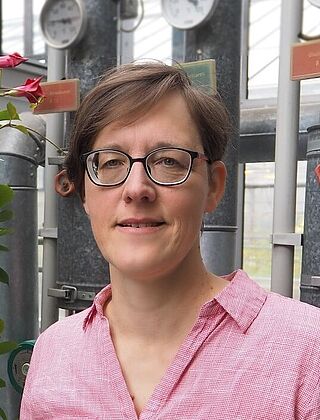 Dr. Doreen  Koltermann