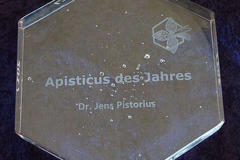 Medaille - Apisticus des Jahres 2017