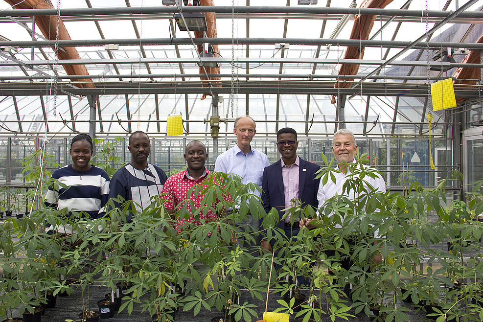 
	Cassava-Züchter aus Afrika zu Besuch im Cassava-Gewächshaus am JKI in Braunschweig. (© Johannes Kaufmann/JKI)
