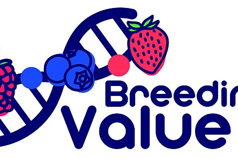 Logo des EU-Projekts BreedingValue Start 2021