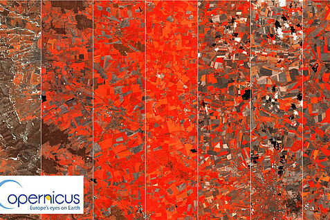 Das Thüringer Becken im Jahresverlauf 2021 / Sentinel-2 Aufnahmen in Falschfarbendarstellung, RGB-Kanäle 8-5-4/ v. l. n. r.: 3. Februar, 30. März, 9. Mai, 18. Juni, 18. Juli, 14. August, 3. September, 8. September. ©JKI