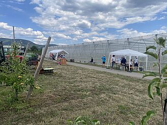Kirscheneinnetzung und Maschinen-Show zur Versuchsfeldtechnik. © Sarah Barnert/JKI