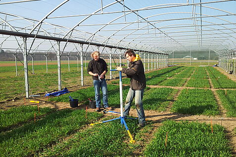 Einbau einer Bodenfeuchtesonden für einen Shelter-Versuch zu Trockenstresstoleranz bei Getreide -  diese generiert wertvolle Daten. Das Konsortium FAIRagro hat sich zum Ziel gesetzt, den Zugriff auf Forschungsdaten in der Agrosystemforschung zu vereinfachen. ©Schittenhelm/JKI