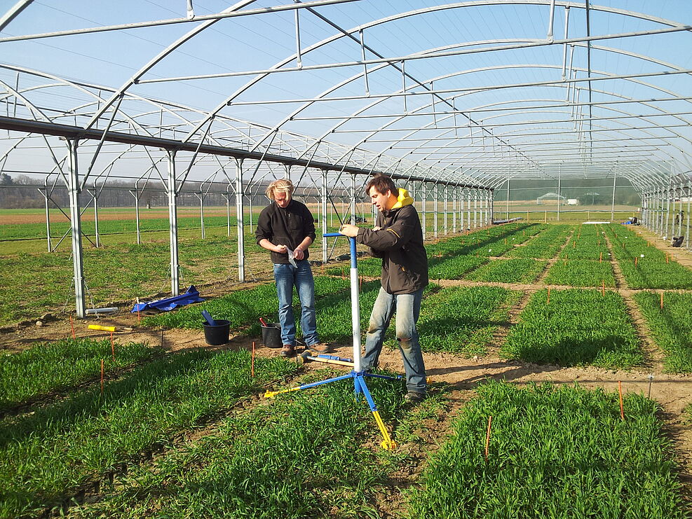 
	Einbau einer Bodenfeuchtesonden für einen Shelter-Versuch zu Trockenstresstoleranz bei Getreide -  diese generiert wertvolle Daten. Das Konsortium FAIRagro hat sich zum Ziel gesetzt, den Zugriff auf Forschungsdaten in der Agrosystemforschung zu vereinfachen. ©Schittenhelm/JKI
