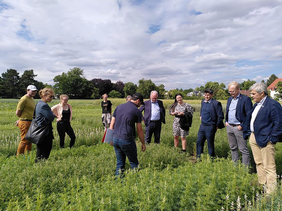 
	Dr. Amir Hajjarpoor explains his field trial on lupine. On the right in the picture: INIA President José Bonica
