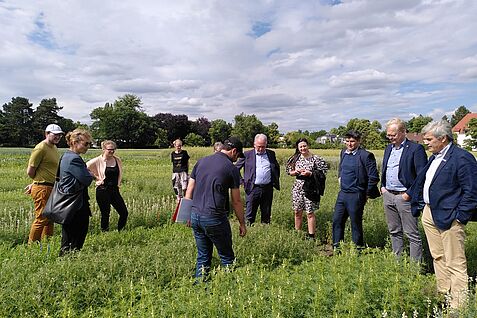 Dr. Amir Hajjarpoor explains his field trial on lupine. On the right in the picture: INIA President José Bonica