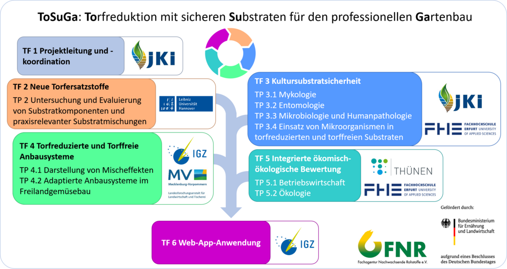 ToGuSa: Torfreduktion mit sicheren Substraten für den professionellen Gartenbau