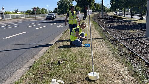 Hier werden die Monitoringschalen an einem Tramgleisbett mit Schotter aufgebaut und mit anderen Varianten verglichen. © M. Schönholz/Uni Bonn