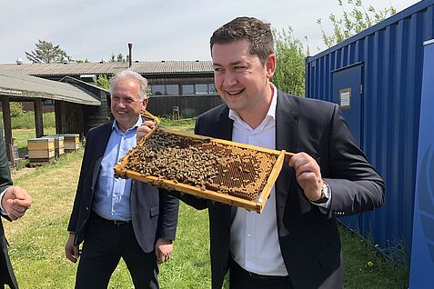 Braunschweigs Oberbürgermeister Dr. Thorsten Kornblum (SPD) geht beim Antrittsbesuch am JKI-Messeweg auf Tuchfühlung mit Honigbienen (c) S. Hahn/JKI