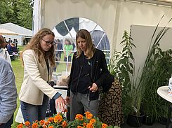 Dr. Maren Langhof beschäftigt sich am Institut für Pflanzenbau und Bodenkunde mit dem agronomischen Potential von Paludikulturen.